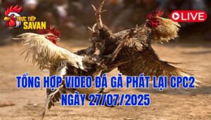 Phát Lại Đá Gà CPC2 Trực Tiếp Ngày 27/07/2025