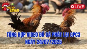 Phát Lại Đá Gà CPC3 Trực Tiếp Ngày 24/07/2025