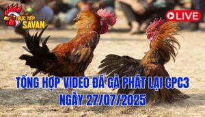Phát Lại Đá Gà CPC3 Trực Tiếp Ngày 27/07/2025