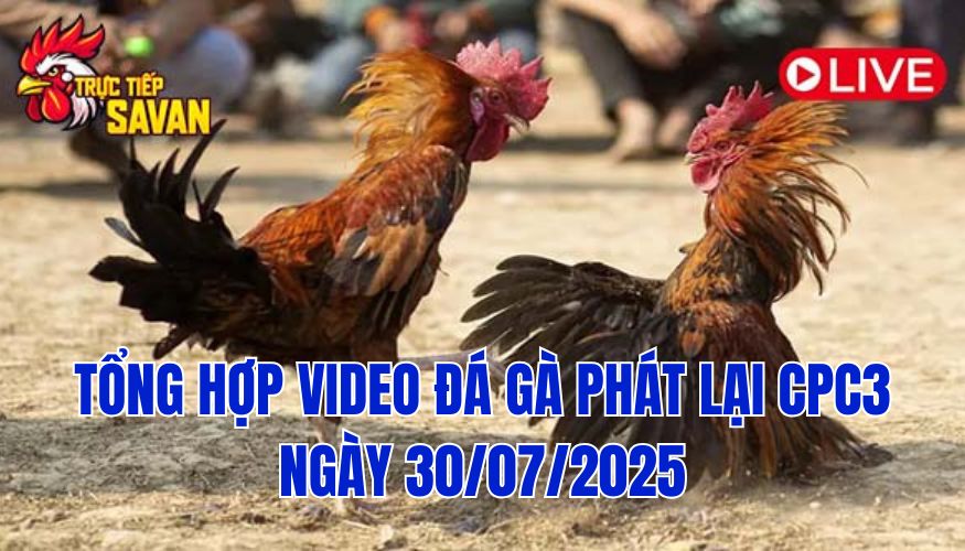 Phát Lại Đá Gà CPC3 Trực Tiếp Ngày 30/07/2025