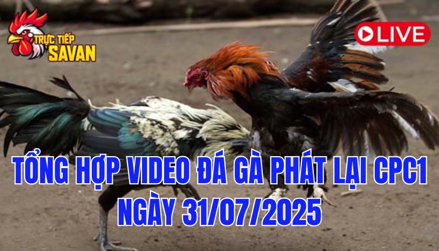 Phát Lại Đá Gà CPC1 Trực Tiếp Ngày 31/07/2025