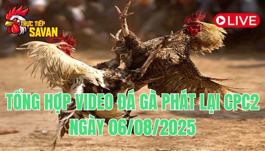 Phát Lại Đá Gà CPC2 Trực Tiếp Ngày 06/08/2025